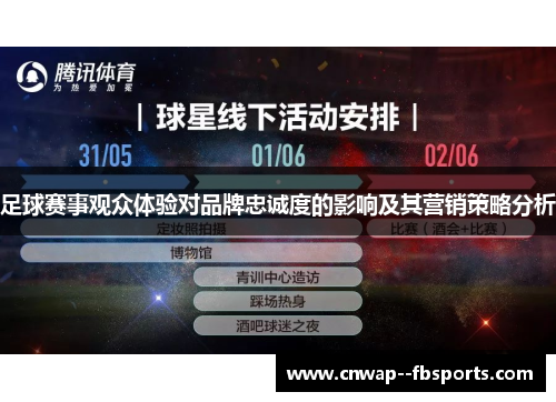 足球赛事观众体验对品牌忠诚度的影响及其营销策略分析 足球赛事观众体验对品牌忠诚度的影响及其营销策略分析