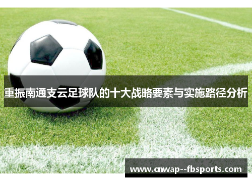 重振南通支云足球队的十大战略要素与实施路径分析 重振南通支云足球队的十大战略要素与实施路径分析