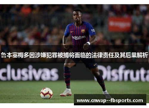 鲁本塞梅多因涉嫌犯罪被捕将面临的法律责任及其后果解析
