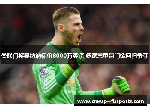 曼联门将奥纳纳标价8000万英镑 多家意甲豪门欲回归争夺 曼联门将奥纳纳标价8000万英镑 多家意甲豪门欲回归争夺