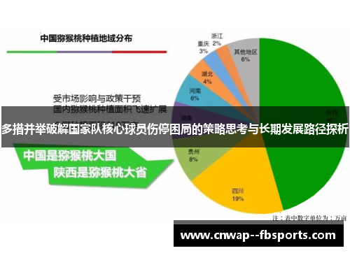 多措并举破解国家队核心球员伤停困局的策略思考与长期发展路径探析 多措并举破解国家队核心球员伤停困局的策略思考与长期发展路径探析